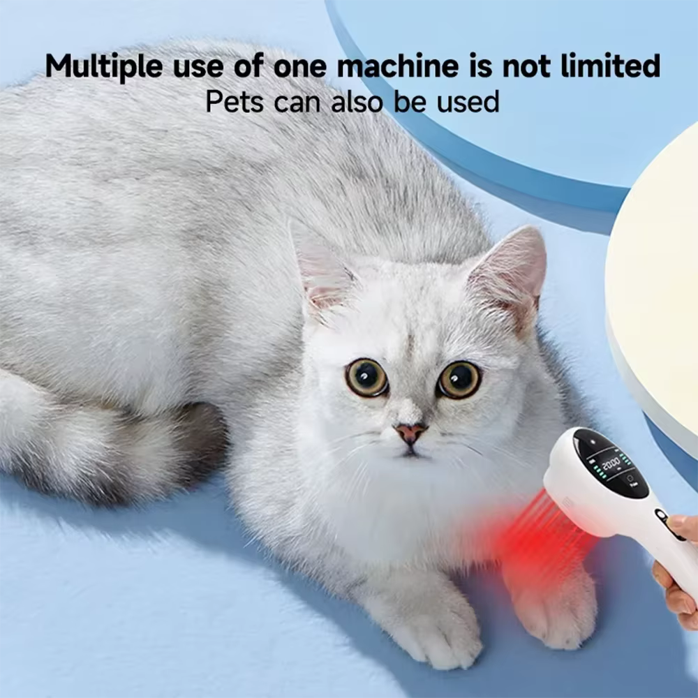 Handheld 650nm 808nm Cold Laser Red Light Therapy Device for Joint Pain Relief