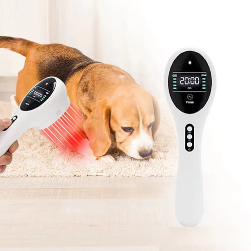 Handheld 650nm 808nm Cold Laser Red Light Therapy Device for Joint Pain Relief